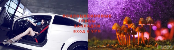 твердый Зерноград